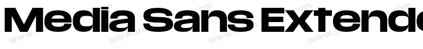 Media Sans Extended Bold字体转换